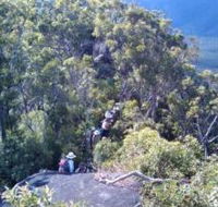 Mia Mia State Forest - Kawana Tourism