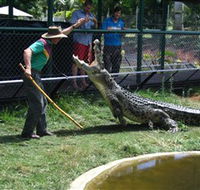Snakes Downunder Reptile Park and Zoo - Kawana Tourism