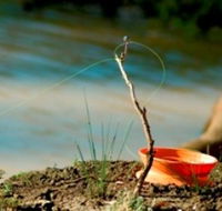 Charleville - Mangalore Warrego River Fishing Spot - Kawana Tourism