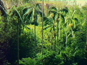 Monto QLD Kawana Tourism