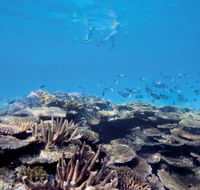 Australian Institute of Marine Science - Kawana Tourism