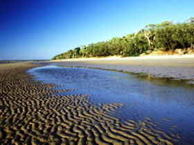 Burrum Coast National Park - Kawana Tourism 0