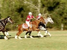 Morgan Park - Kawana Tourism 0