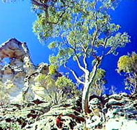 Mount Moffatt Section - Carnarvon National Park - Kawana Tourism