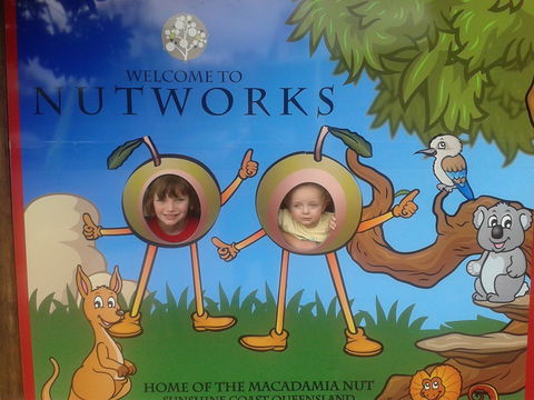 Nutworks - Kawana Tourism 4