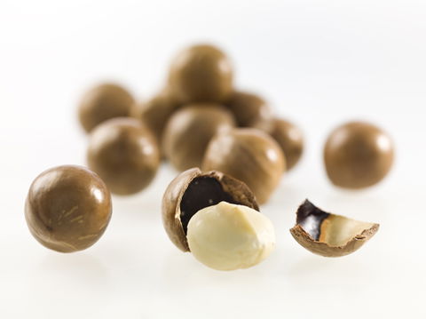 Nutworks - Kawana Tourism 5