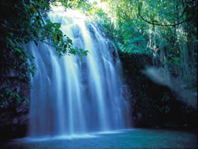 Middlebrook QLD Kawana Tourism