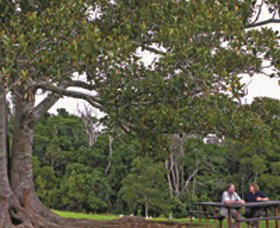 Ravensbourne National Park - Kawana Tourism 0