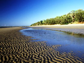 Kinkuna Section - Kawana Tourism 0