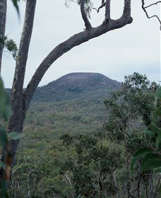 Mount Fox - Kawana Tourism 0