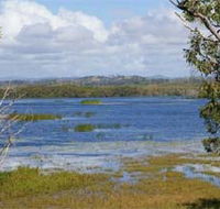 Lake Barfield - Kawana Tourism