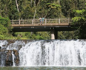 Malanda Falls Conservation Park - Kawana Tourism 0