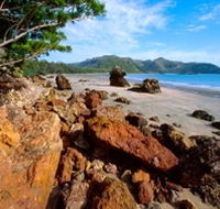 Diversity Boardwalk - Kawana Tourism