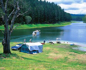 Danbulla National Park And Danbulla State Forest - Kawana Tourism 0