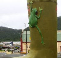 Golden Gumboot - Kawana Tourism