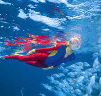 Outer Rocks Dive Site - Kawana Tourism