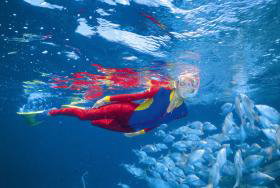 Outer Rocks Dive Site - Kawana Tourism 0