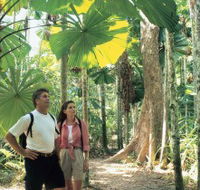 Licuala State Forest - Kawana Tourism