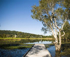 Eagleby Wetlands - Kawana Tourism 0