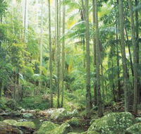 Python Rock - Kawana Tourism