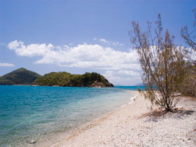 Paddle Bay Track And Campsite - Kawana Tourism 0