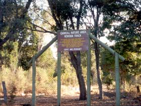 Carroll Nature Reserve Kokoda Track - Kawana Tourism 0