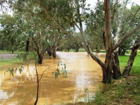 Saddliers Waterhole And Hamburg Creek - Kawana Tourism 0