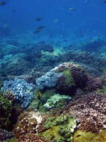 Bargara QLD Kawana Tourism