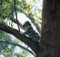 Daisy Hill Conservation Park - Kawana Tourism