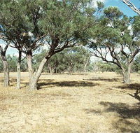 Forest Den National Park - Kawana Tourism