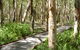 The Kommo Toera Trail - thumb 0