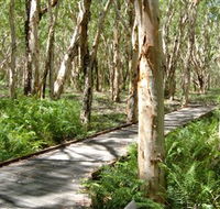 The Kommo Toera Trail - Kawana Tourism