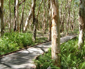 The Kommo Toera Trail - Kawana Tourism 0