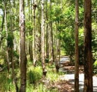Hallorans Hill - Kawana Tourism