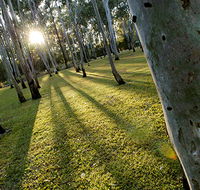 Tondoon Botanic Gardens - Kawana Tourism