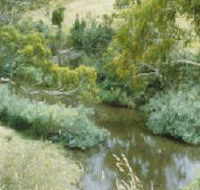 Yarrambat Park - Kawana Tourism