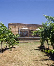 Shantell Vineyard - Kawana Tourism 0