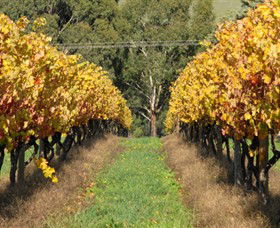 Wild Dog Winery & Restaurant - Kawana Tourism 0
