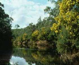 North Warrandyte VIC Kawana Tourism