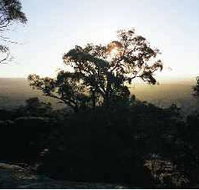 Yarra Flats - Kawana Tourism