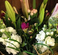 Alpine Blooms Florist Mansfield - Kawana Tourism
