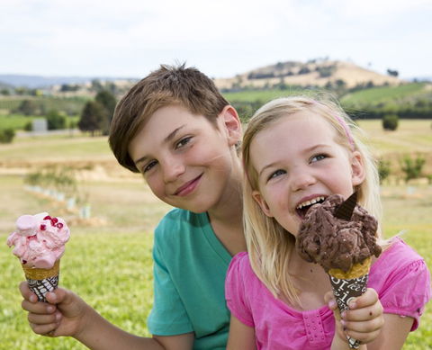Yarra Valley Chocolaterie & Ice Creamery - Kawana Tourism 6
