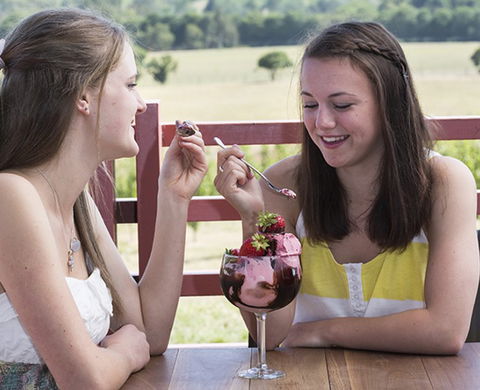 Yarra Valley Chocolaterie & Ice Creamery - Kawana Tourism 8