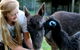 Great Ocean Road Wildlife Park - thumb 2