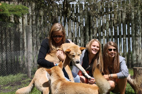 Great Ocean Road Wildlife Park - Kawana Tourism 3