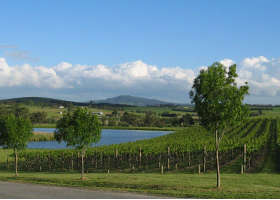 Yarrawood Estate - Kawana Tourism 0