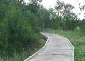 Shepherds Bush - Kawana Tourism 0