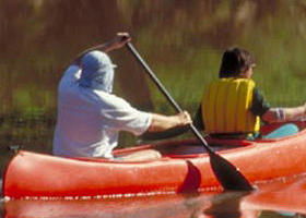 Yarra Bend Park - Kawana Tourism 0