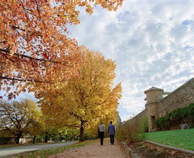 Beechworth Historic And Cultural Precinct - Kawana Tourism 0