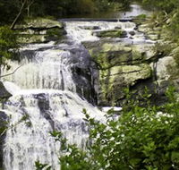 Agnes Falls Scenic Reserve - Kawana Tourism
